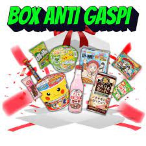 box anti gaspi